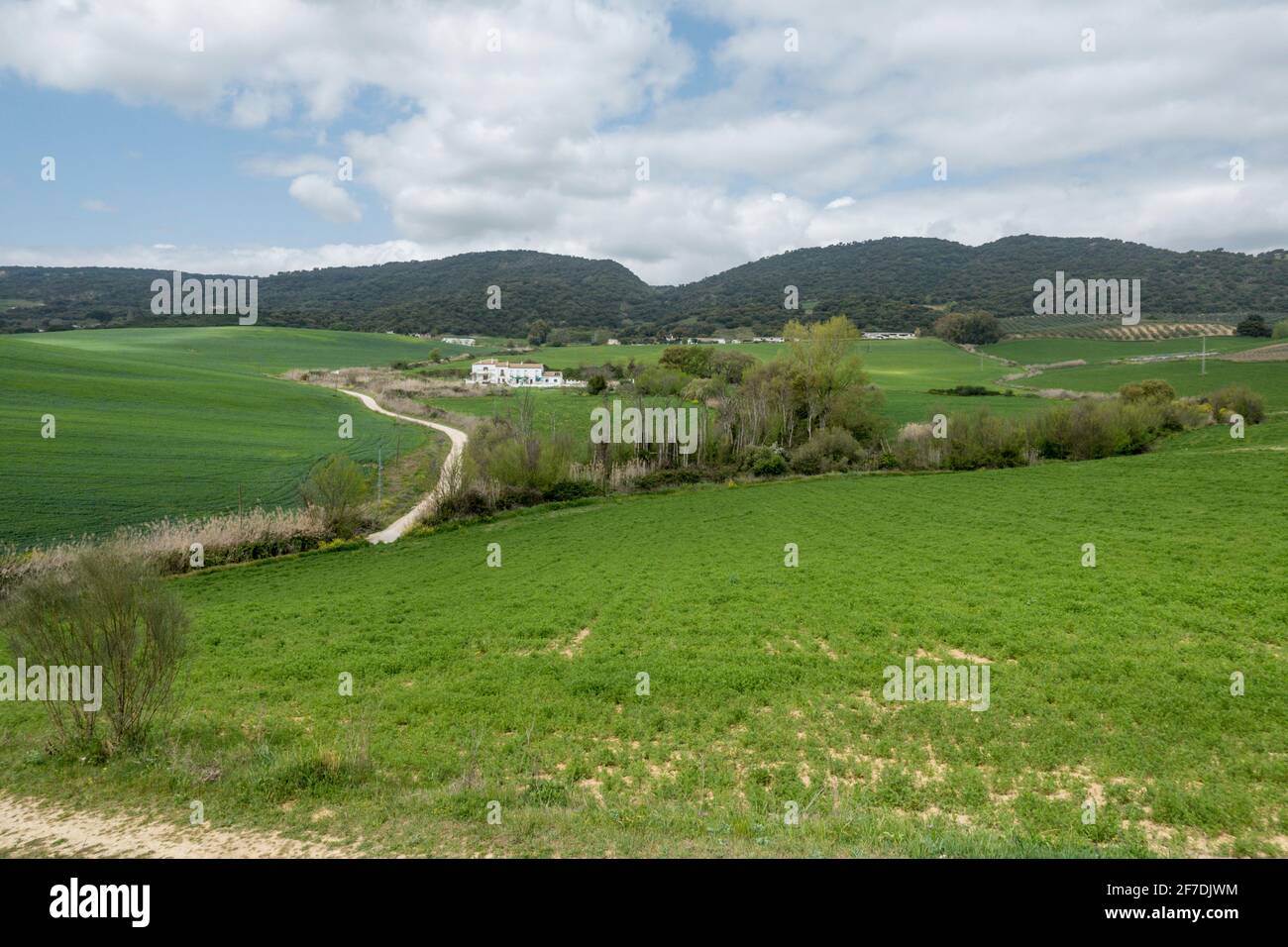 Farmland around the Spanish town Arriate, Serrania de Ronda, Andalusia, Spain. Stock Photo
