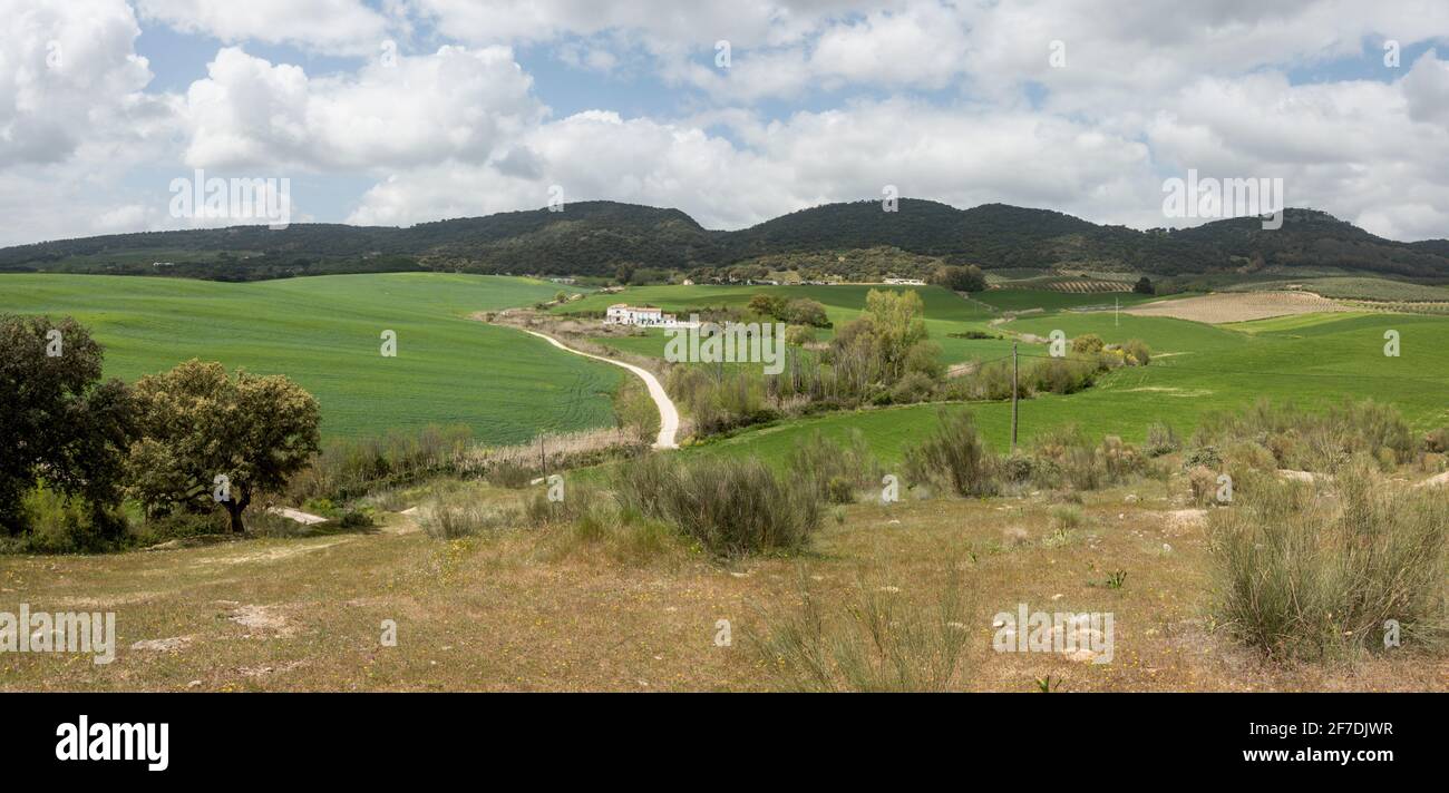 Farmland around the Spanish town Arriate, Serrania de Ronda, Andalusia, Spain. Stock Photo