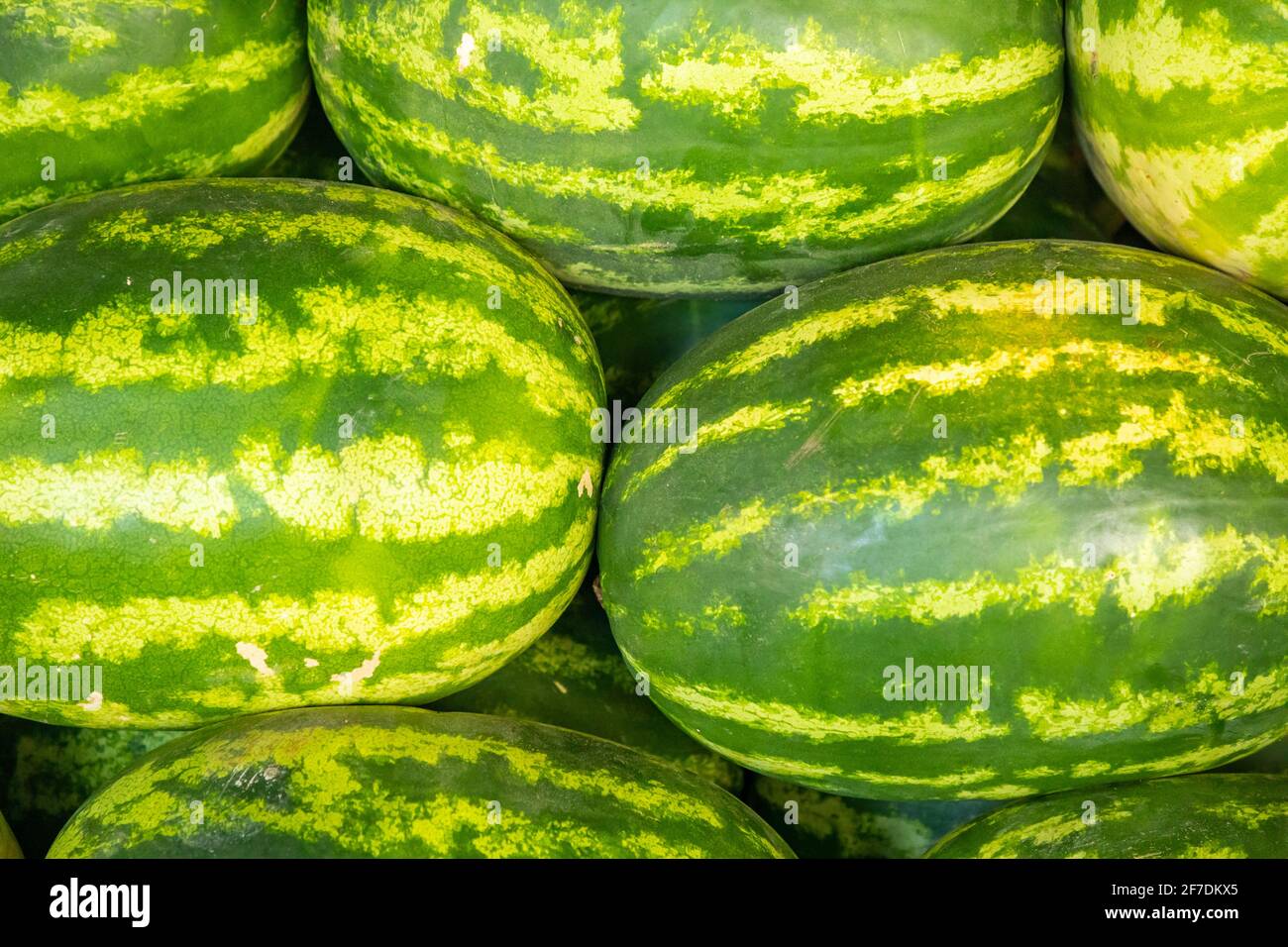 Big Sweet Green Organic Watermelons 