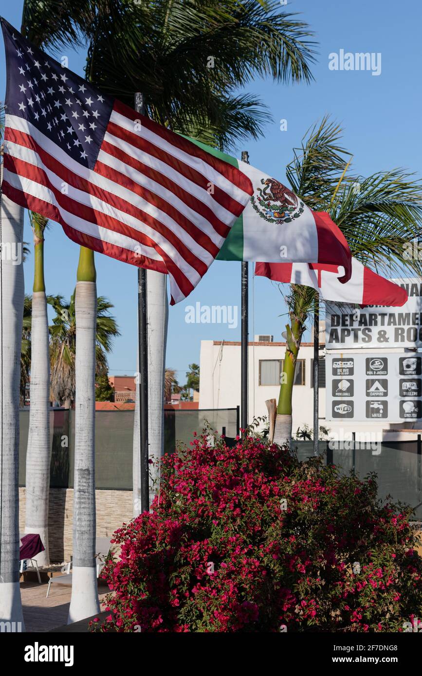 Three country flags from the U.S., Mexico, and Canada fly in the breeze amongst palm trees in Mexico, welcoming international travelers. Stock Photo