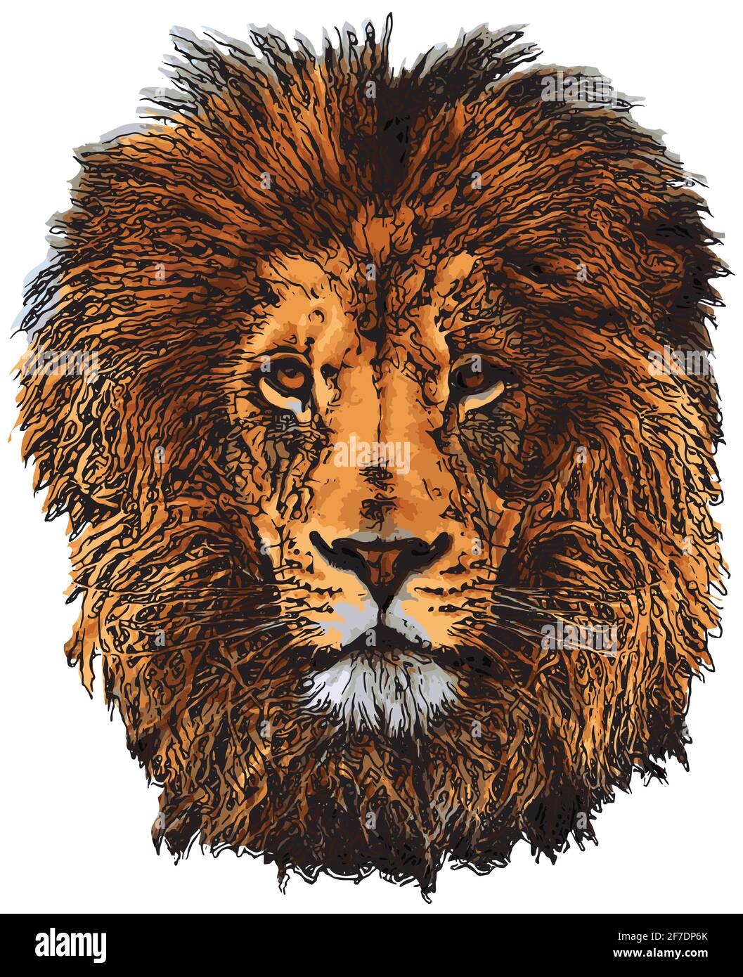 lion head on white background Stock Vector