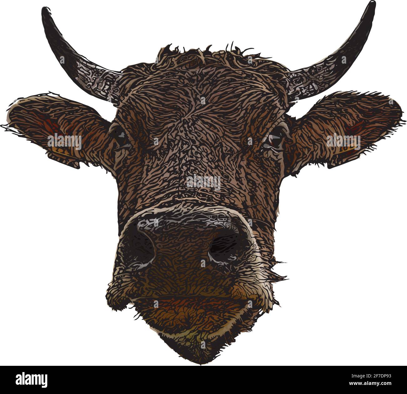 bull head vector illustration on white background Stock Vector Image ...
