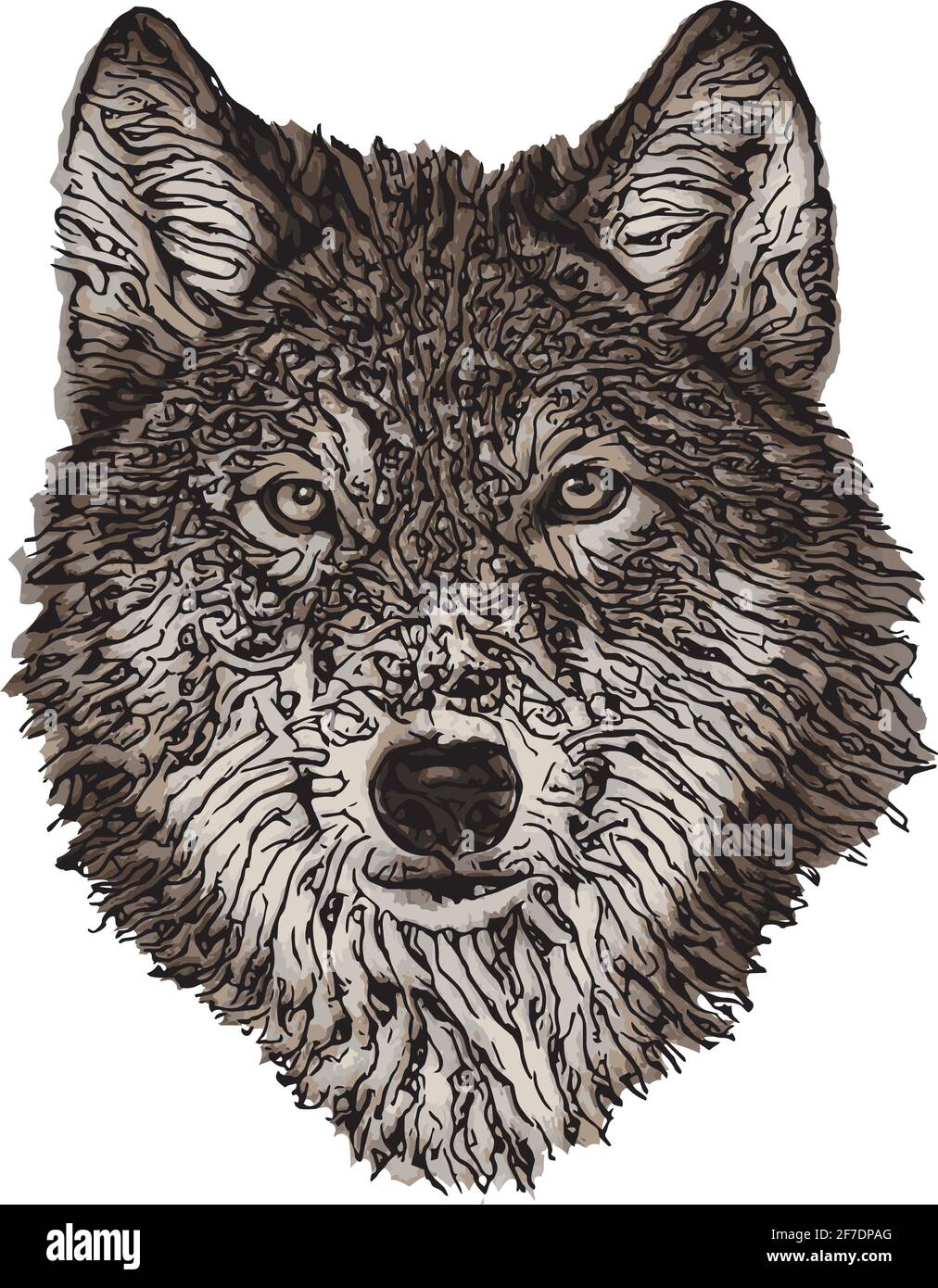 wolf head - colored vector illustration Stock Vector