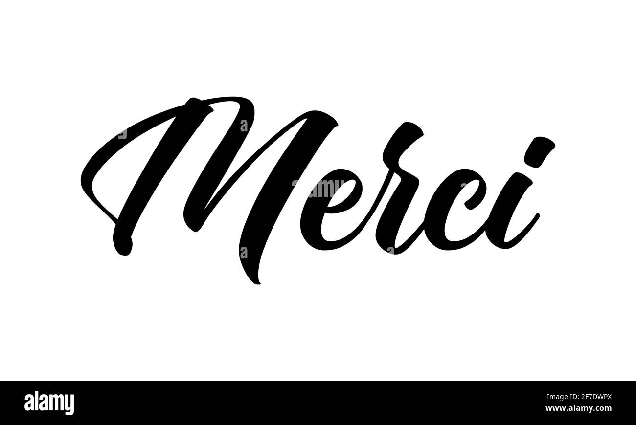 Hand sketched MERCI quote in French as logo. Translated Thank you