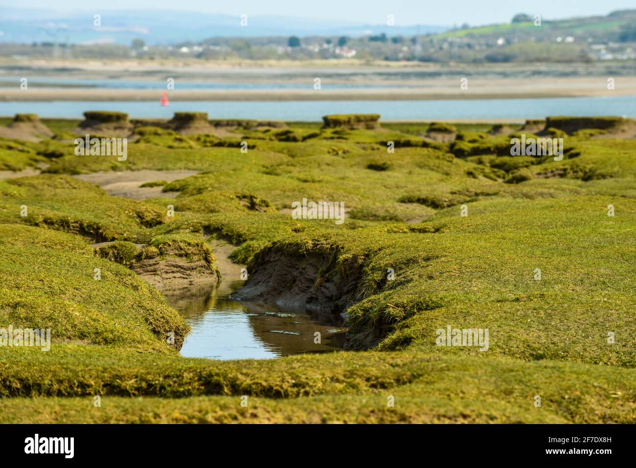 Northam Burrows mud flats in Devon make an unusual pattern during low