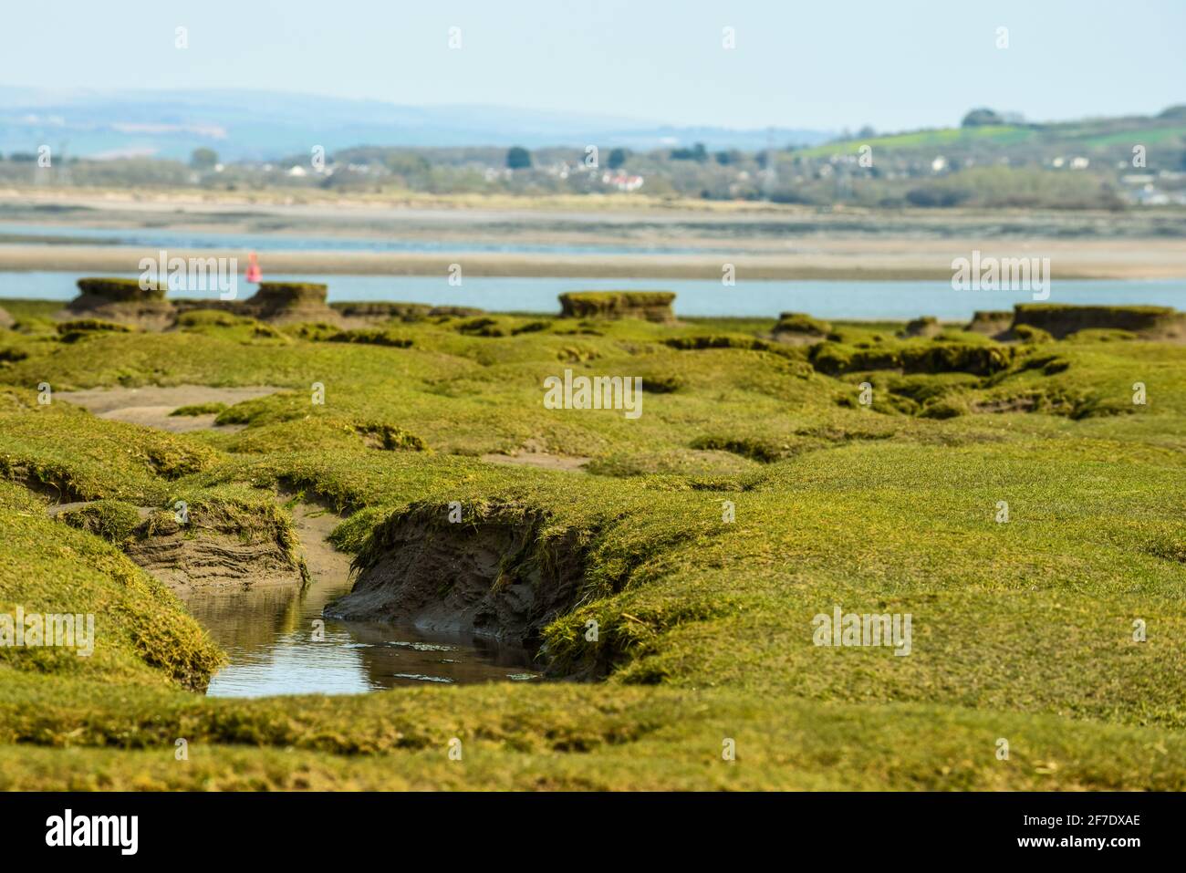 Northam Burrows mud flats in Devon make an unusual pattern during low