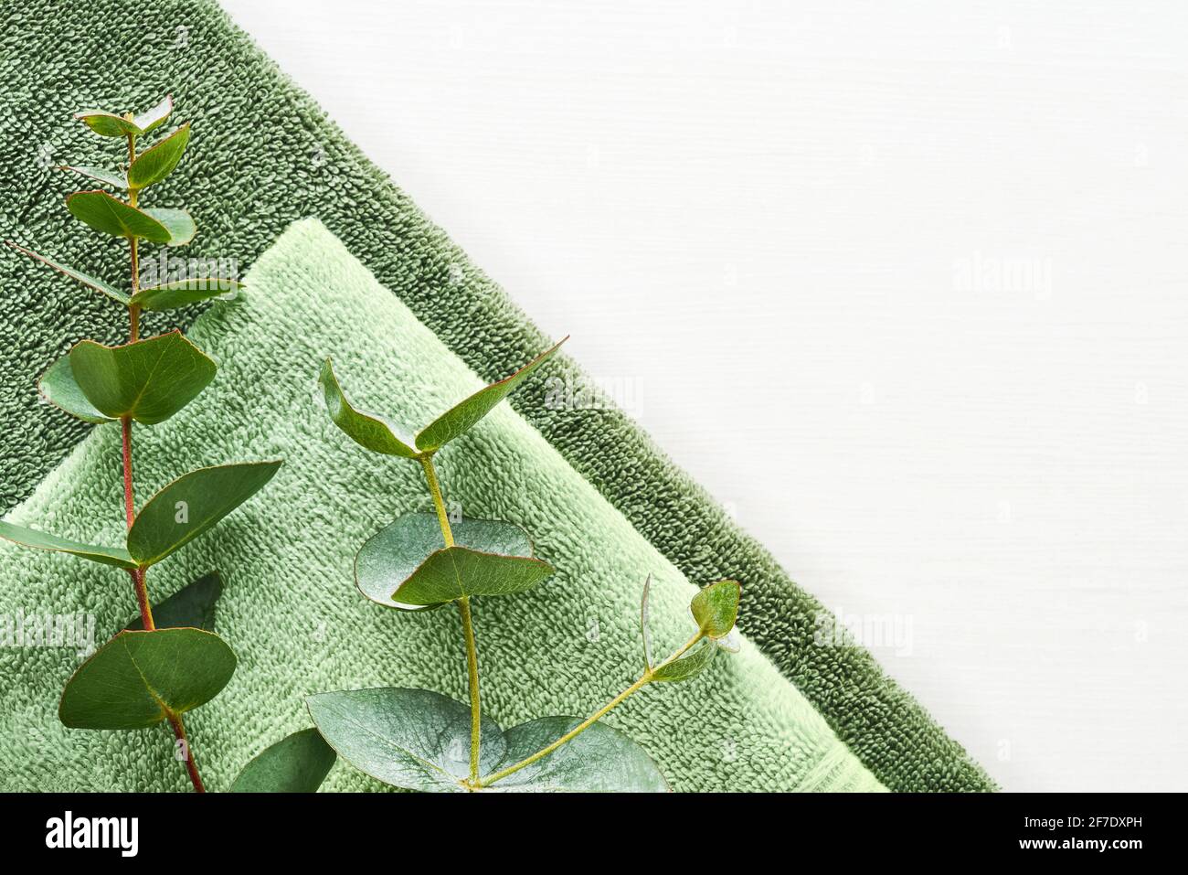 Rolled fluffy towels and green eucalyptus branch on white background