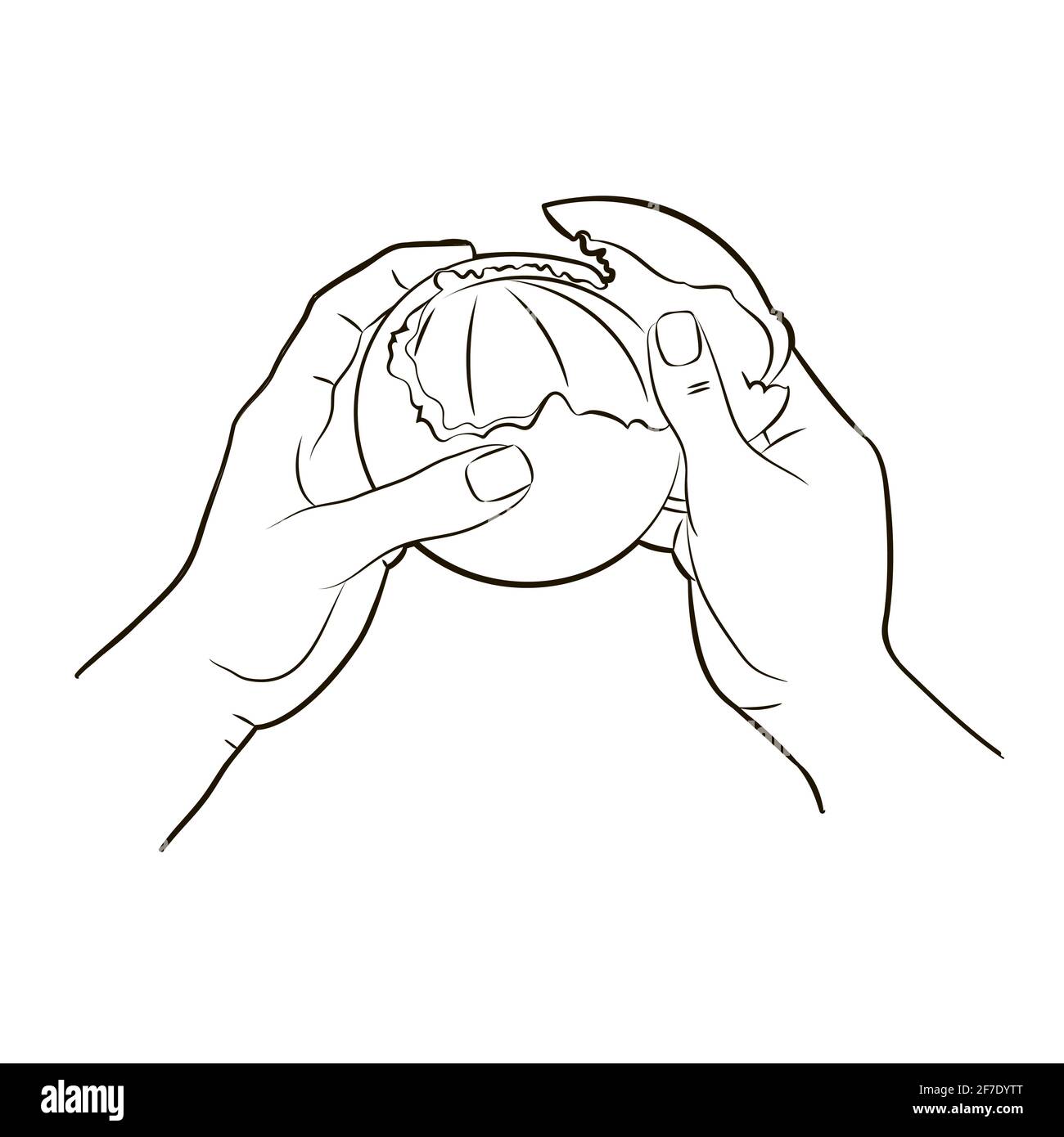 Hands, peel the orange peel by removing the orange peel from the pulp, top view.Vector illustration in sketch style, black and white isolated line art Stock Vector