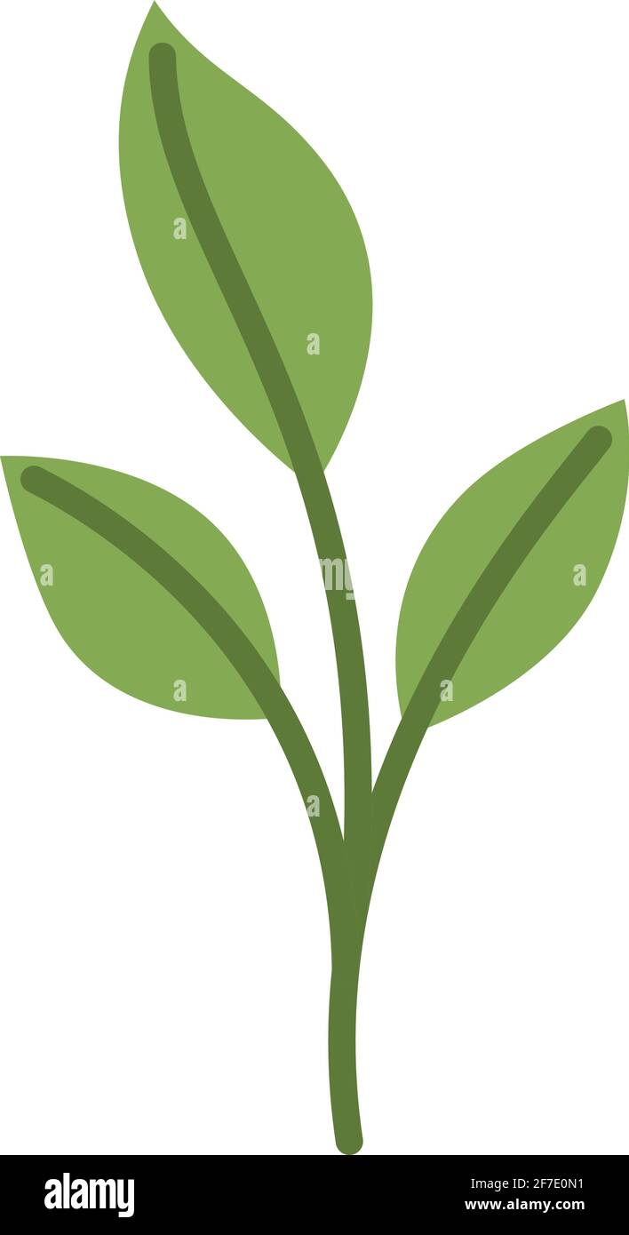green leaves illustration Stock Vector Image & Art - Alamy