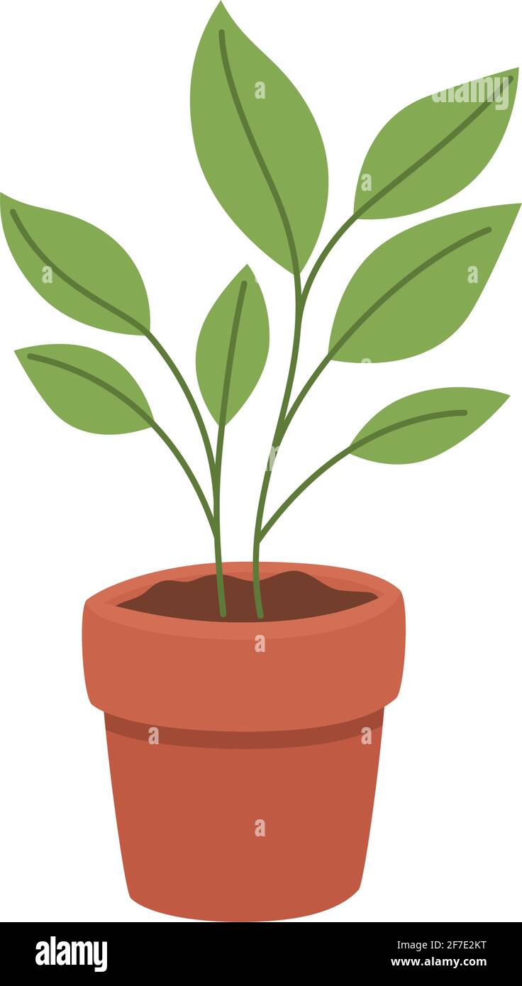 plant in pot Stock Vector Image & Art - Alamy
