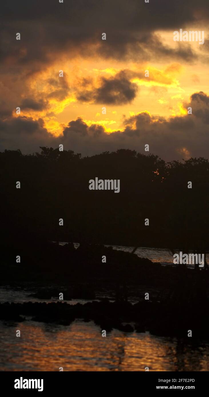 Sunrise over Caleta Tortuga Negra, Baltra Island, Galapagos, Ecuador Stock Photo