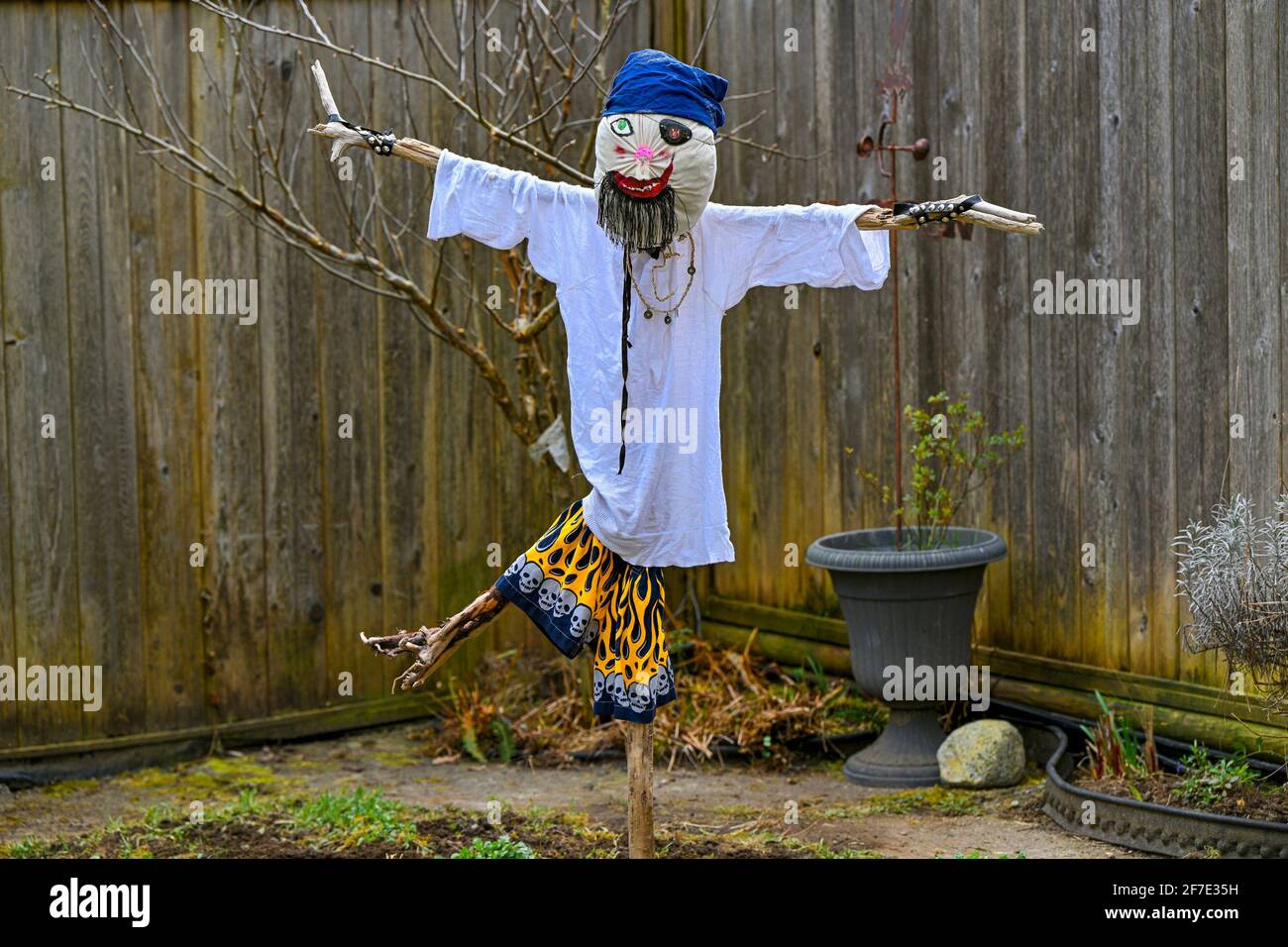 Pirate Scarecrow Stock Photo