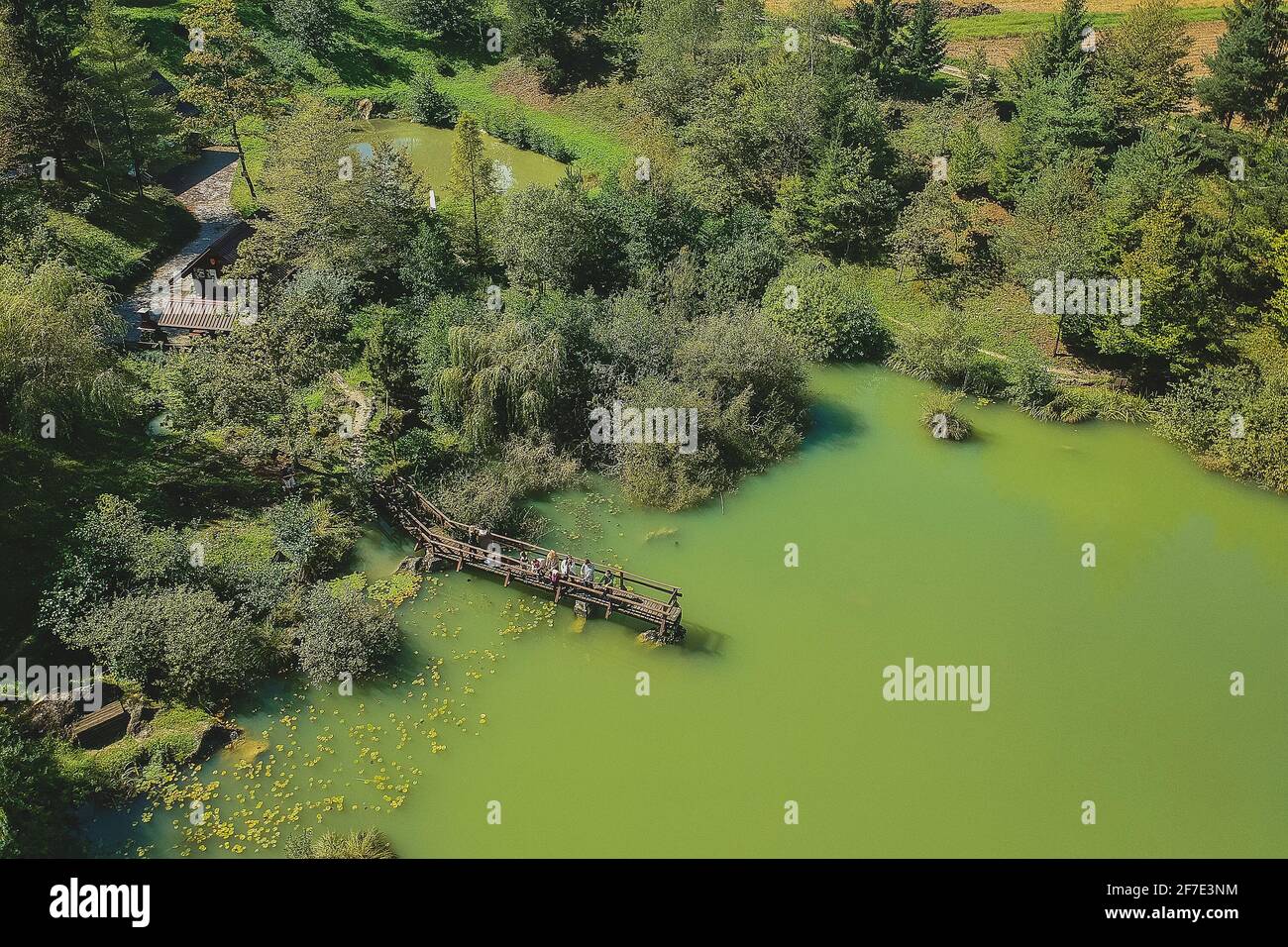 Aerial photo of a beautiful green lake surrounded with trees, walking ...