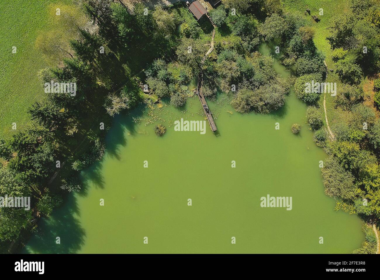 Aerial photo of a beautiful green lake surrounded with trees, walking ...
