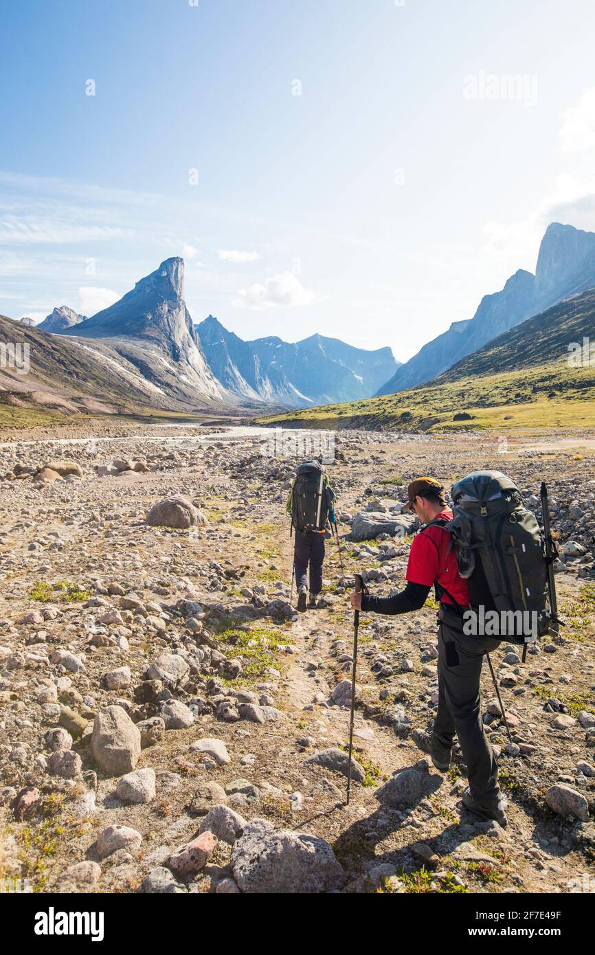 Backpacker hiking on trail towards Mt. Thor, Baffin Island. Stock Photo