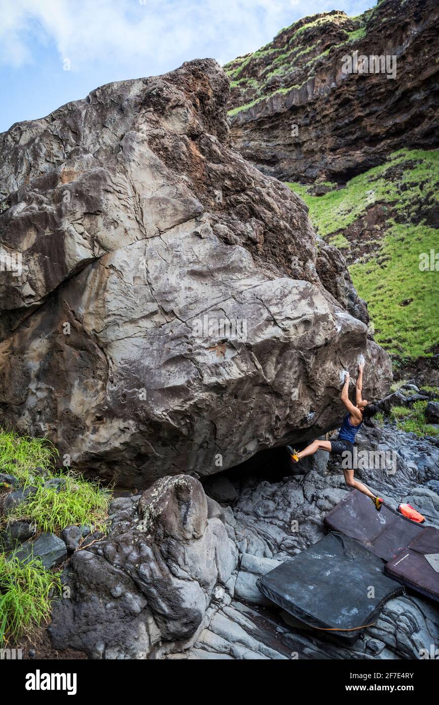 Mauiokanoi hires stock photography and images Alamy