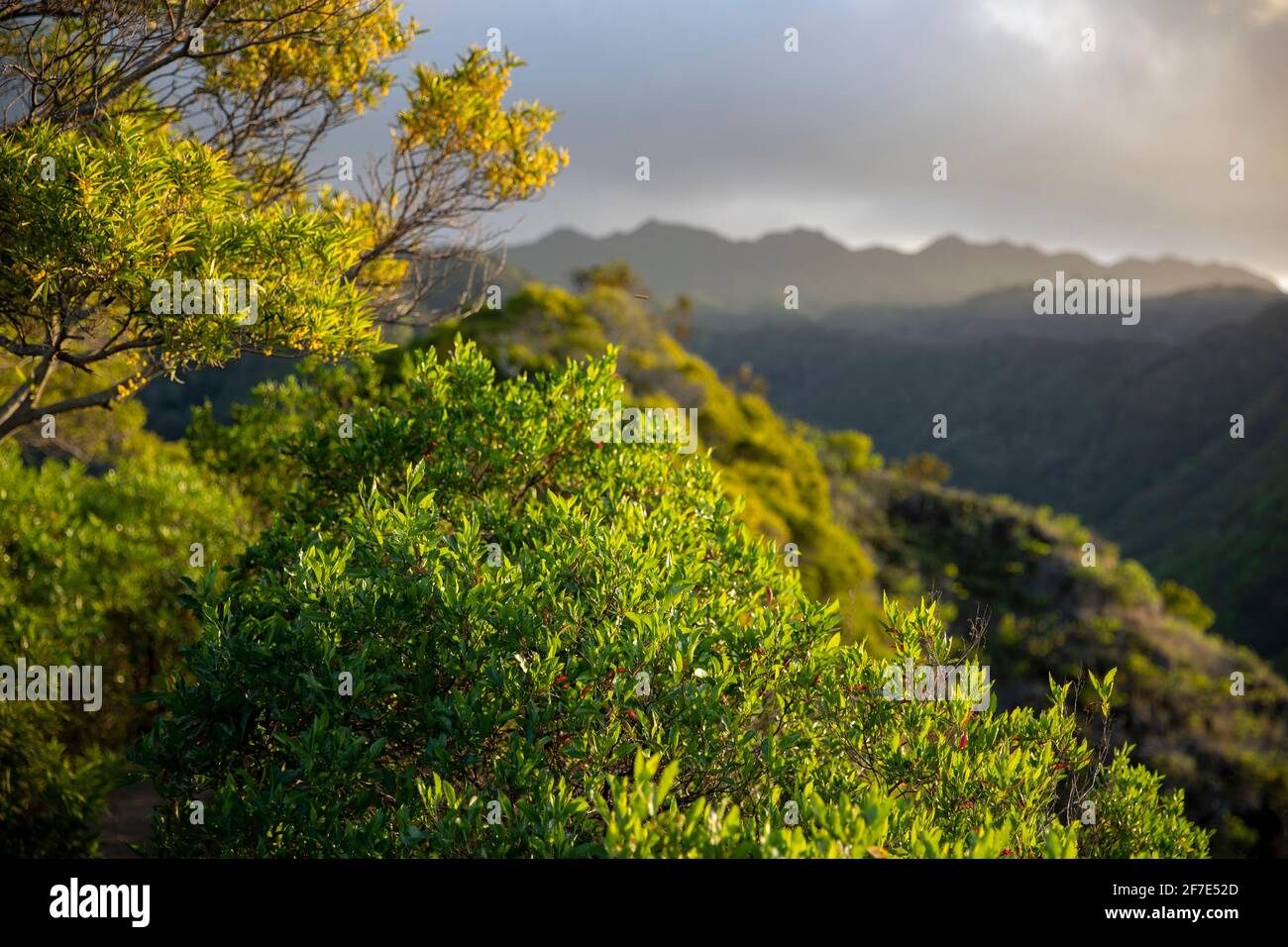 Hawaii mountain cloud hi-res stock photography and images - Alamy