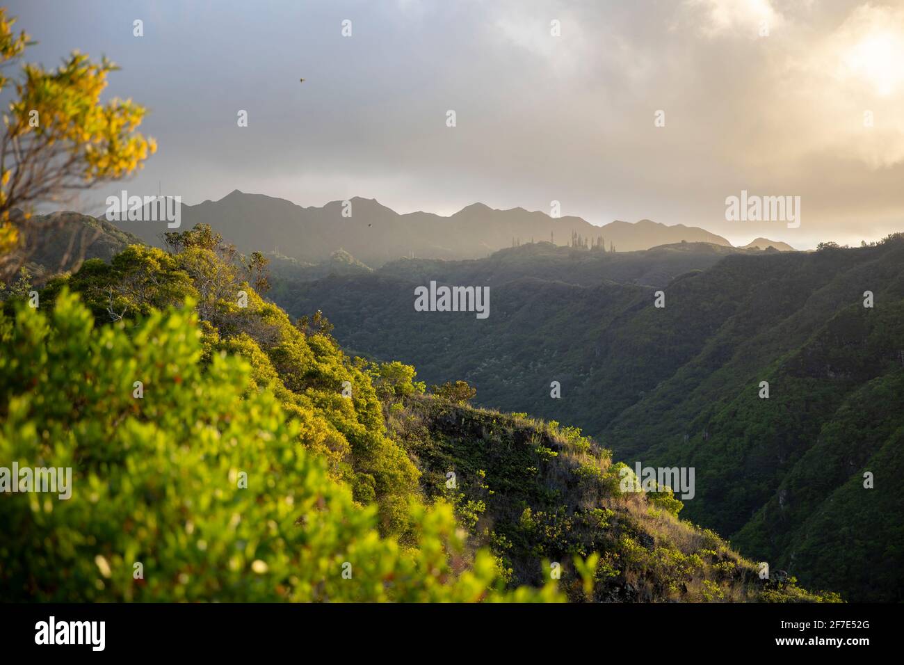Enchanting morning view of a mountain range in O'ahu, Hawai'i Stock Photo
