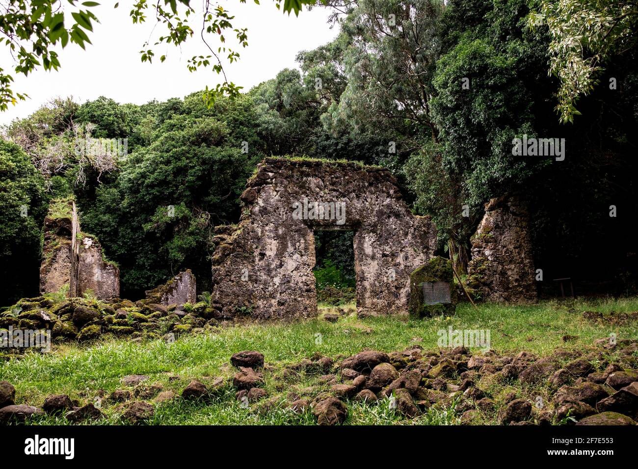 Antiquated ruins hidden in the tropical rainforest of Honolulu Stock Photo