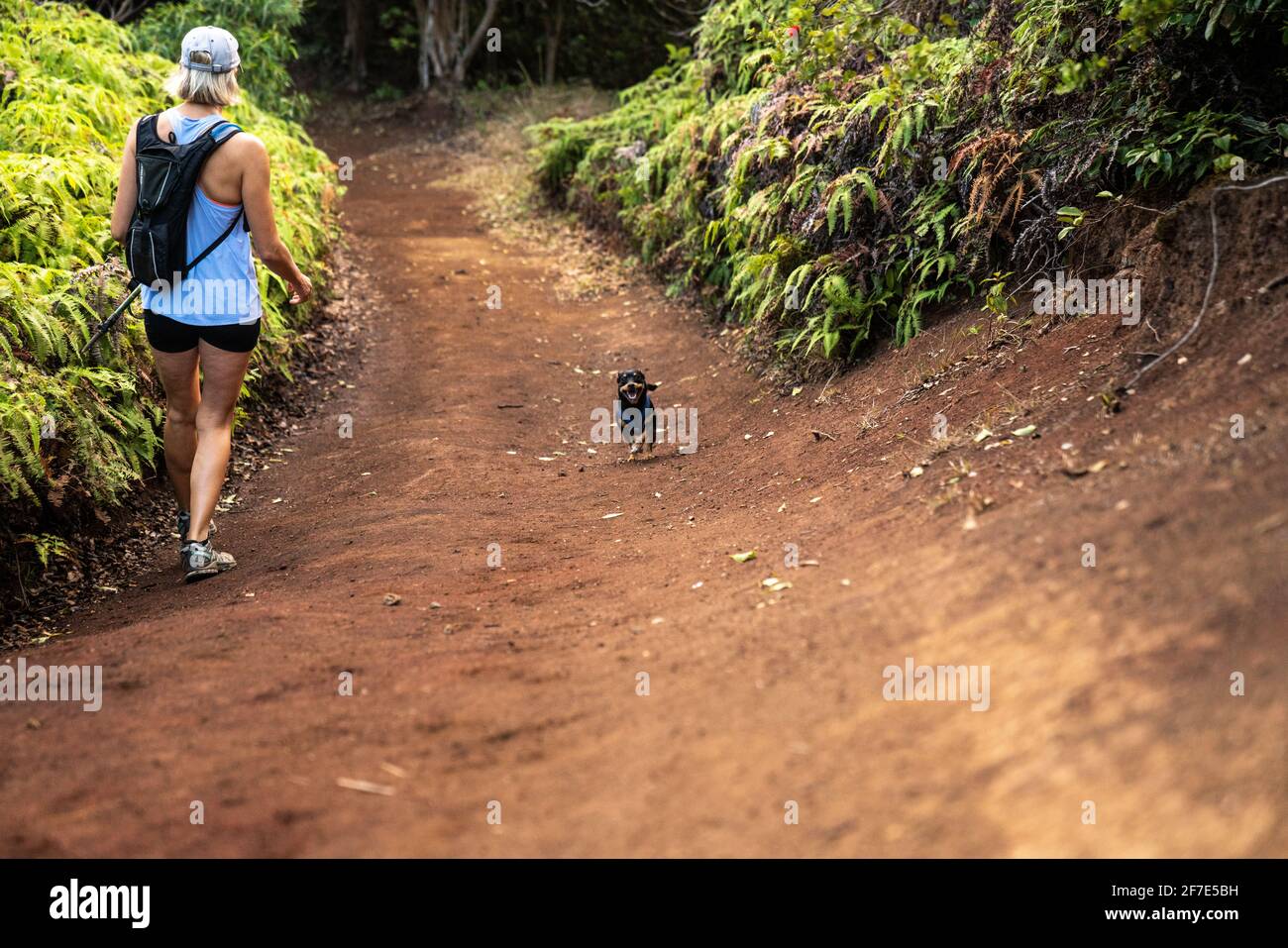 Blonde woman going on a hiking adventure with small black puppy Stock Photo