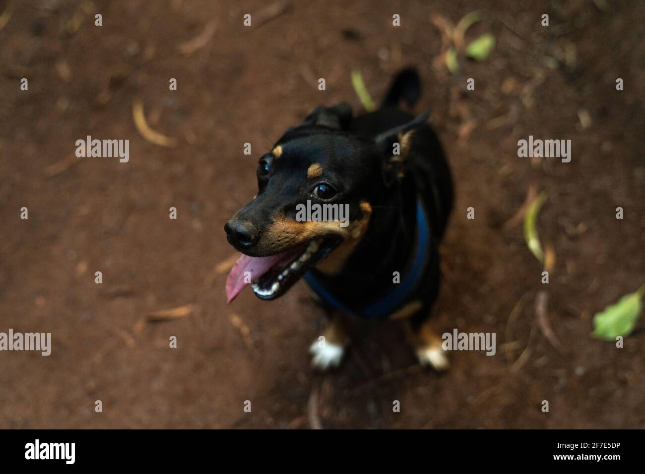 Enthused hi-res stock photography and images - Alamy