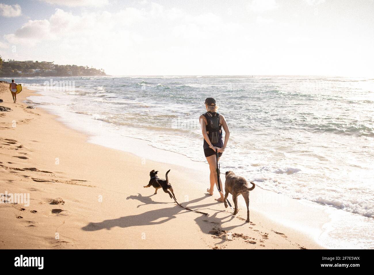 Outdoorsy woman walking two dogs along the sea shore in Honolulu Stock Photo