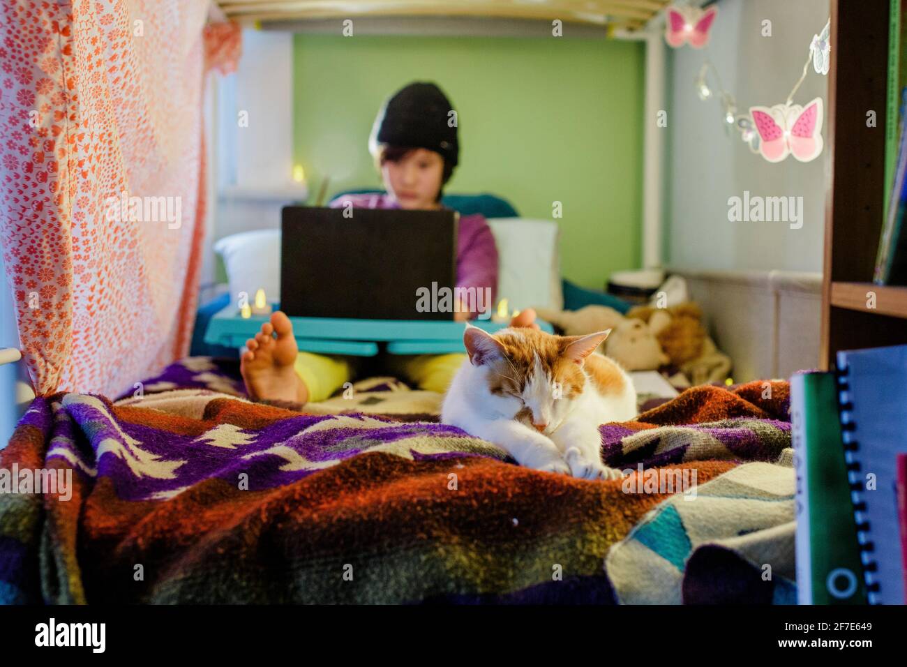 A cat in foreground stretches out on bed with boy on computer in back Stock Photo