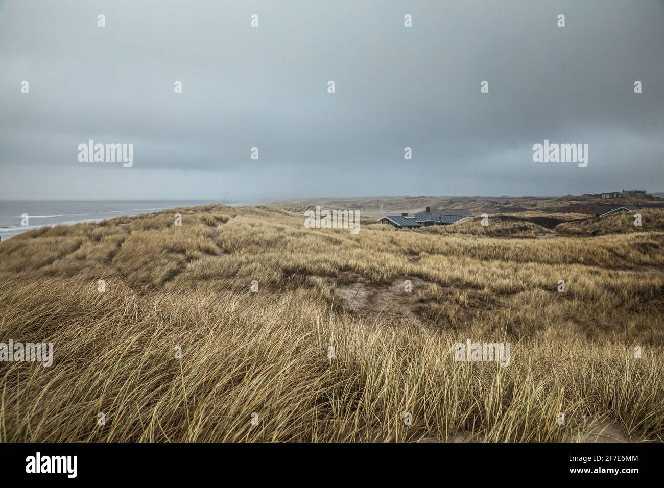 Stormy Sky Seaside with Tall Beach Grass And Distant Rooftops Denmark Stock Photo