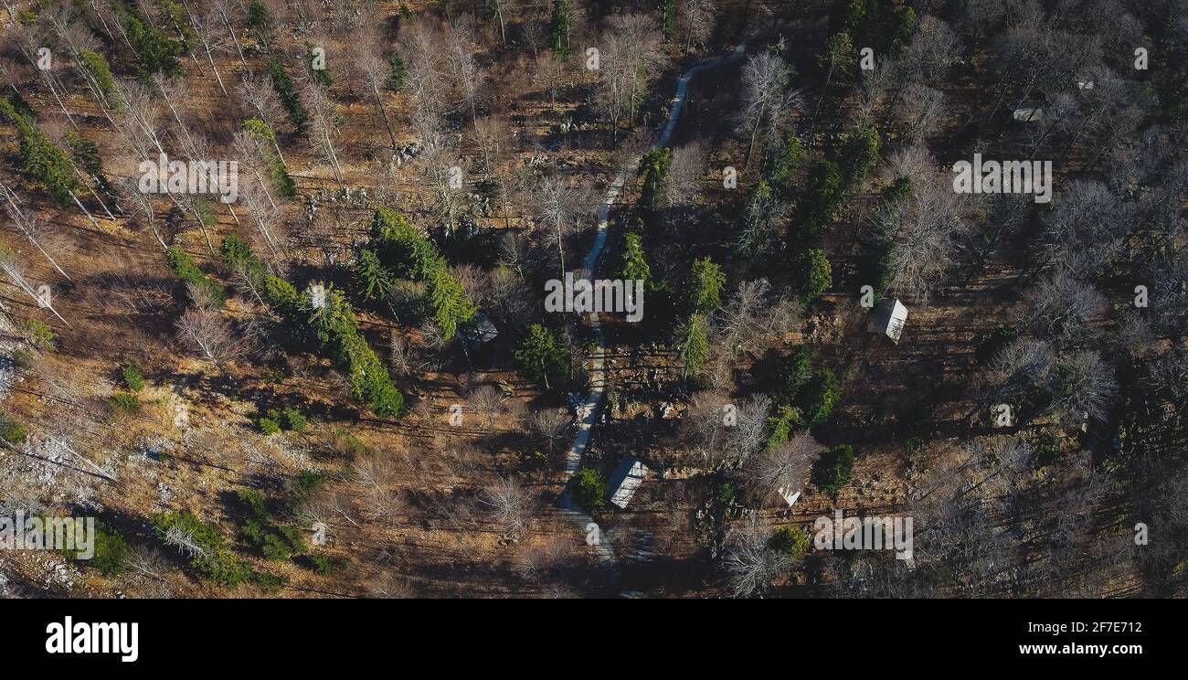 Aerial view of army barracks or cottages hiding in the depths of forest at Kocevje or Kocevski rog. Partisan hideout in Slovenia called Baza 20 on a s Stock Photo