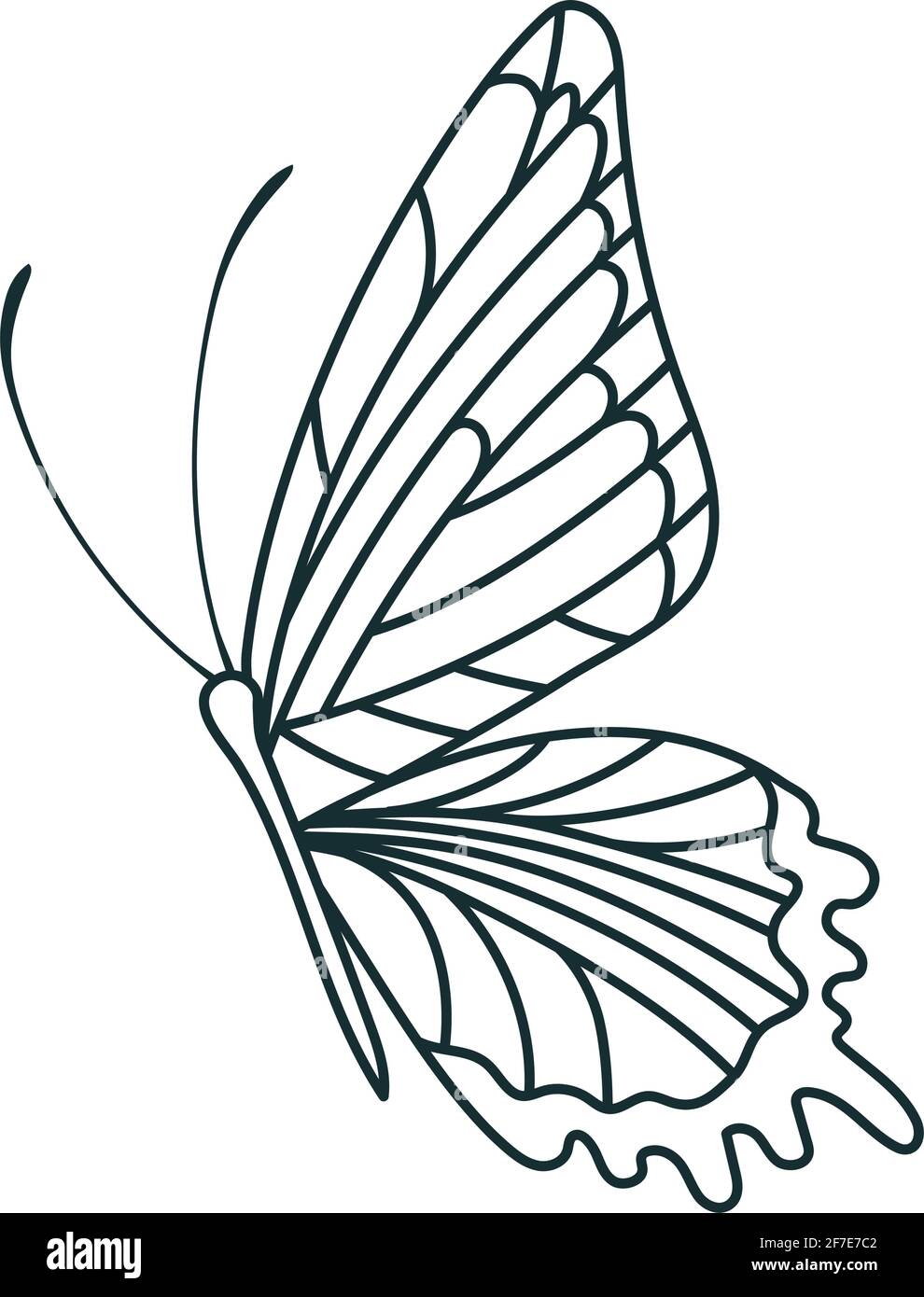 pretty butterfly design Stock Vector Image & Art - Alamy