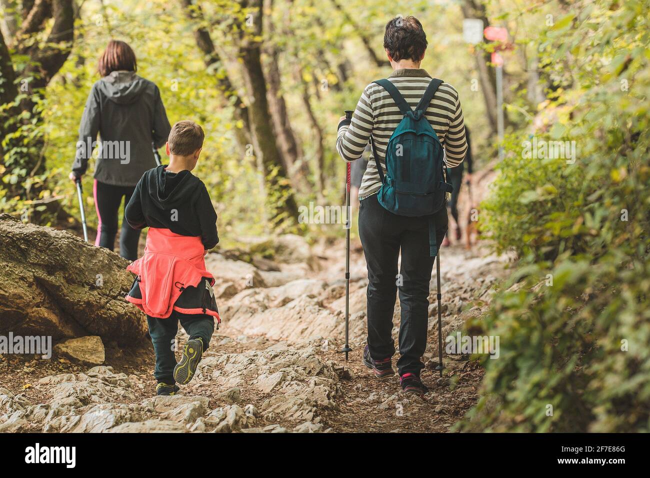 Older woman and two kids are descending on a mountain path in a forest