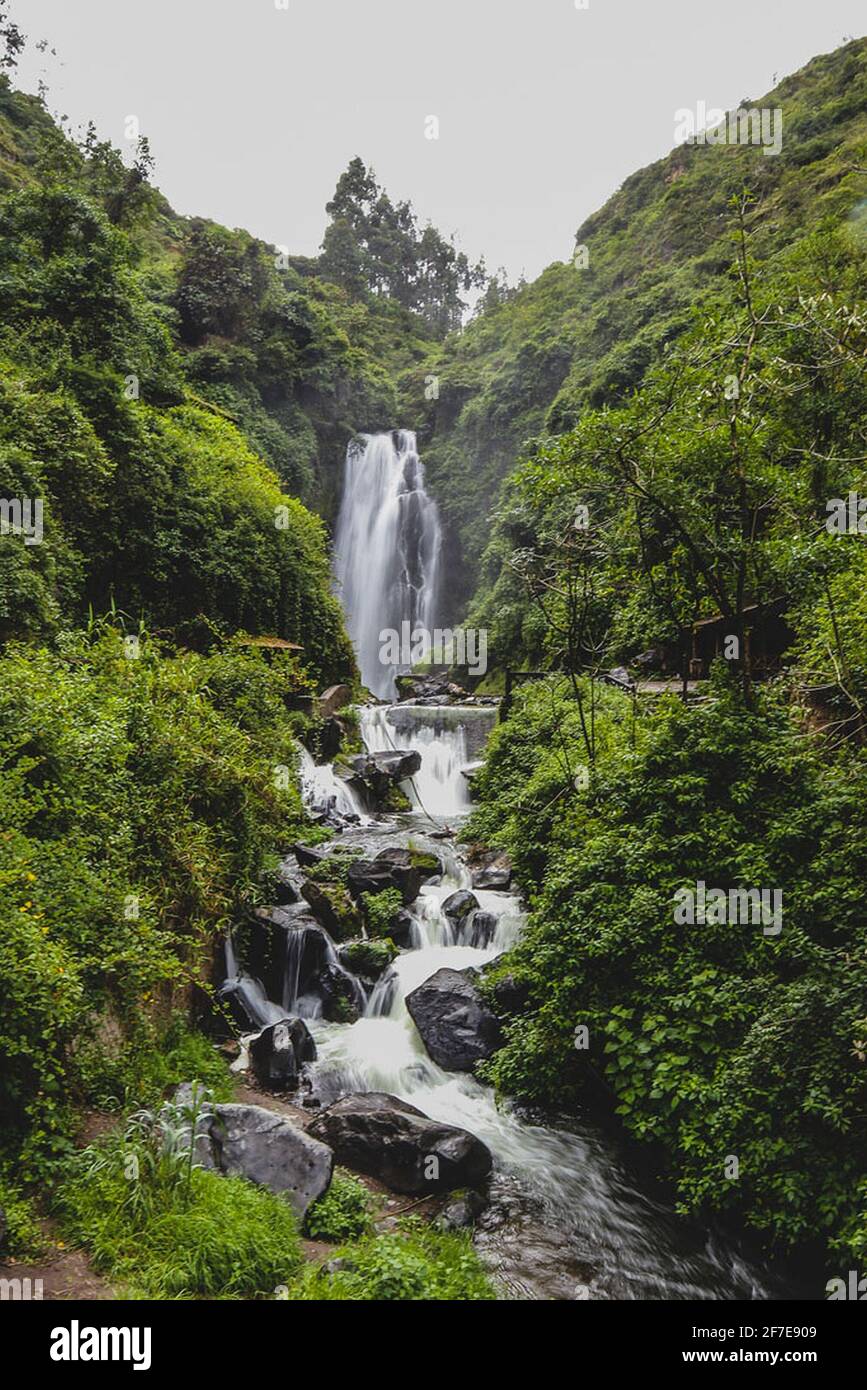 A small waterfall in a lush green environmnent in Ecuador. Stock Photo