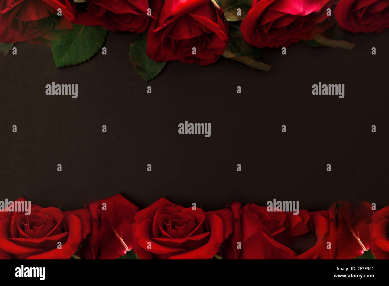 Red roses on black background with copy space. Holiday fashion backdrop  Stock Photo - Alamy