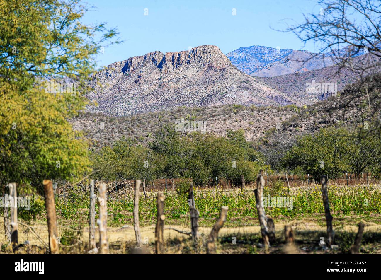 Villa Hidalgo Mop. Villa Hidalgo, Sonora Mexico. . (Photo