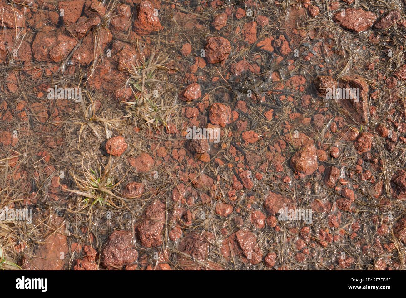 Gravelly soil hires stock photography and images Alamy