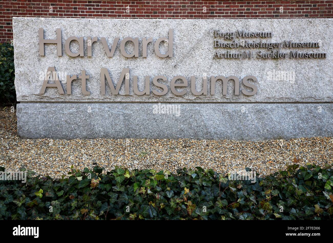 Harvard Art Museums (Cambridge) - Visitor Information & Reviews