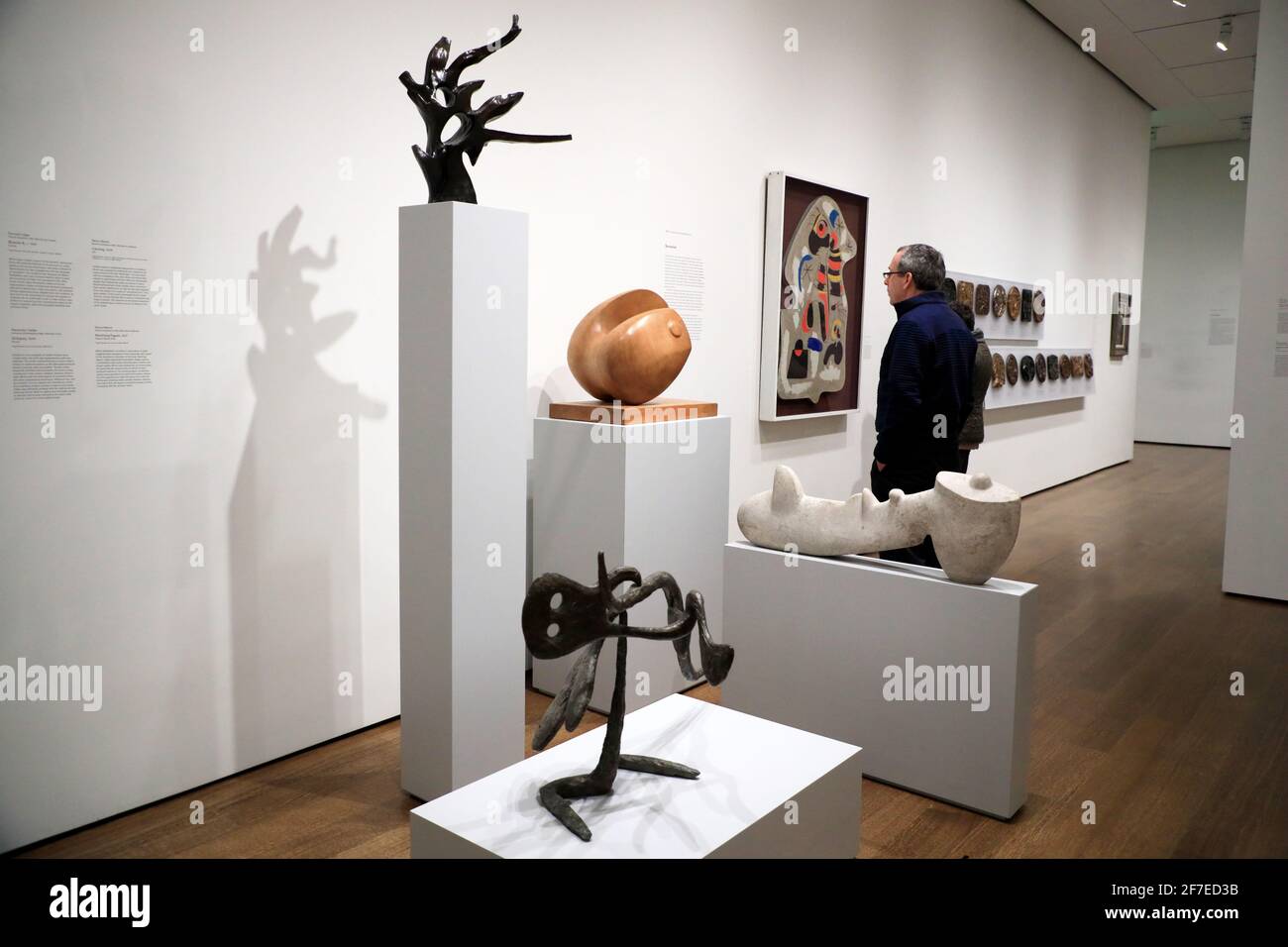 Harvard university fogg museum of art hires stock photography and