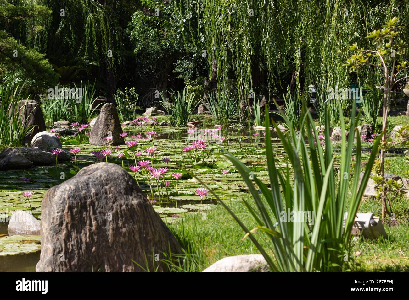 City park flowers hi-res stock photography and images - Alamy
