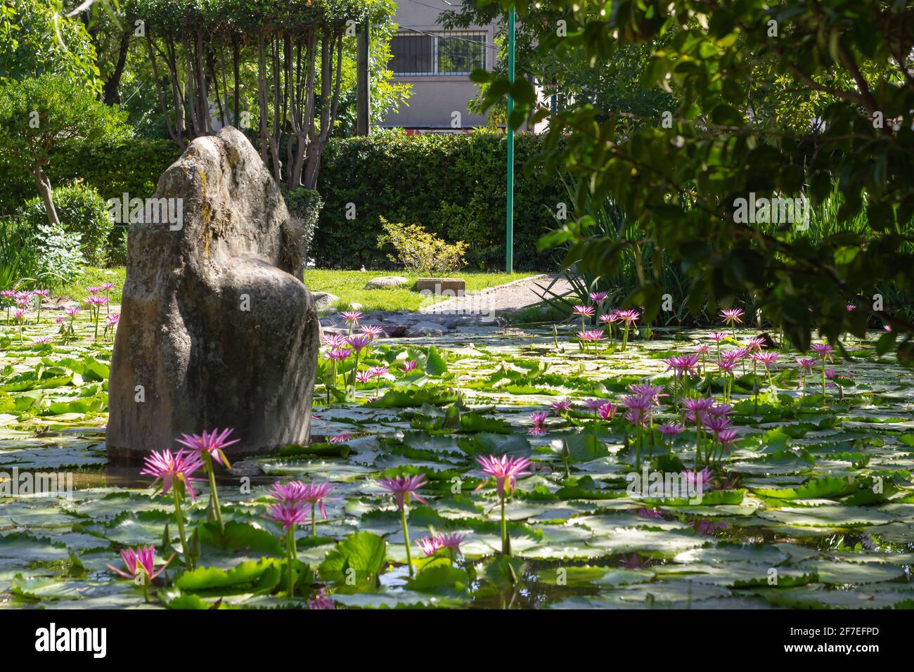 City park flowers hi-res stock photography and images - Alamy