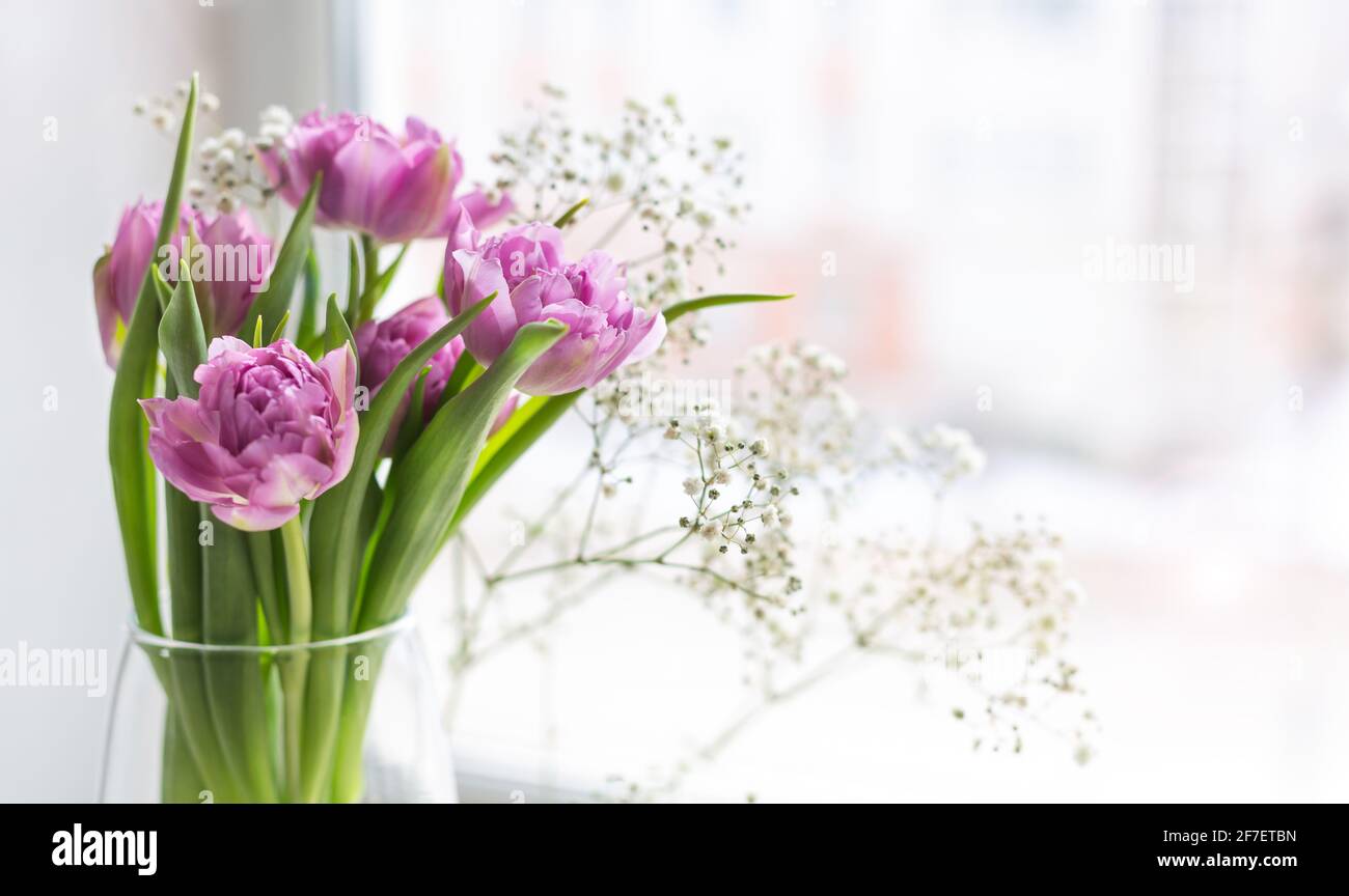 Romantic bouquet of pink tulips and Gypsophila in a glass vase by the ...