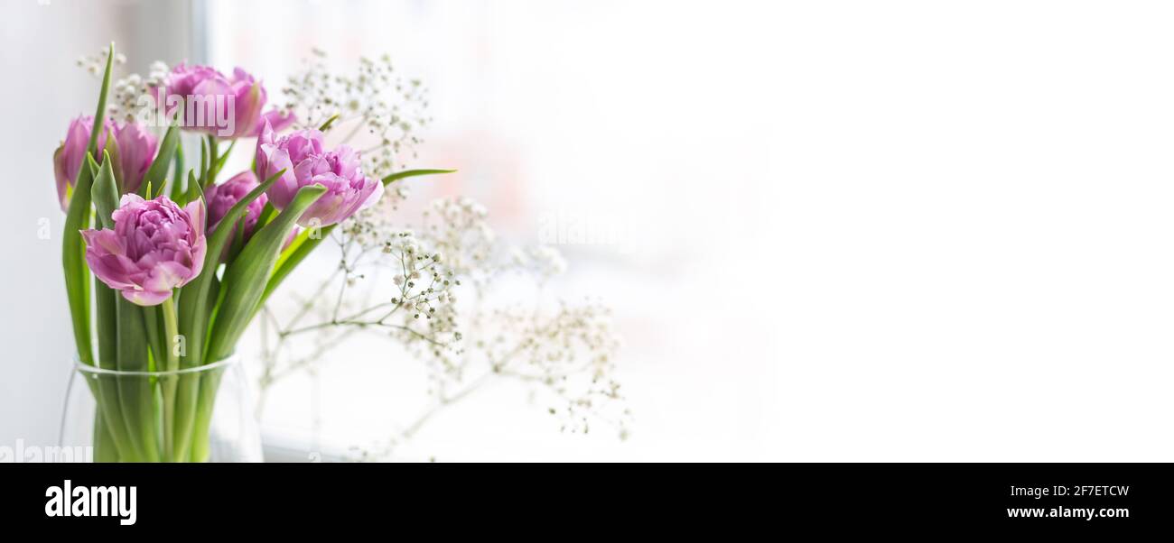Bouquet of pink tulips and gypsophila in a glass vase by the window ...