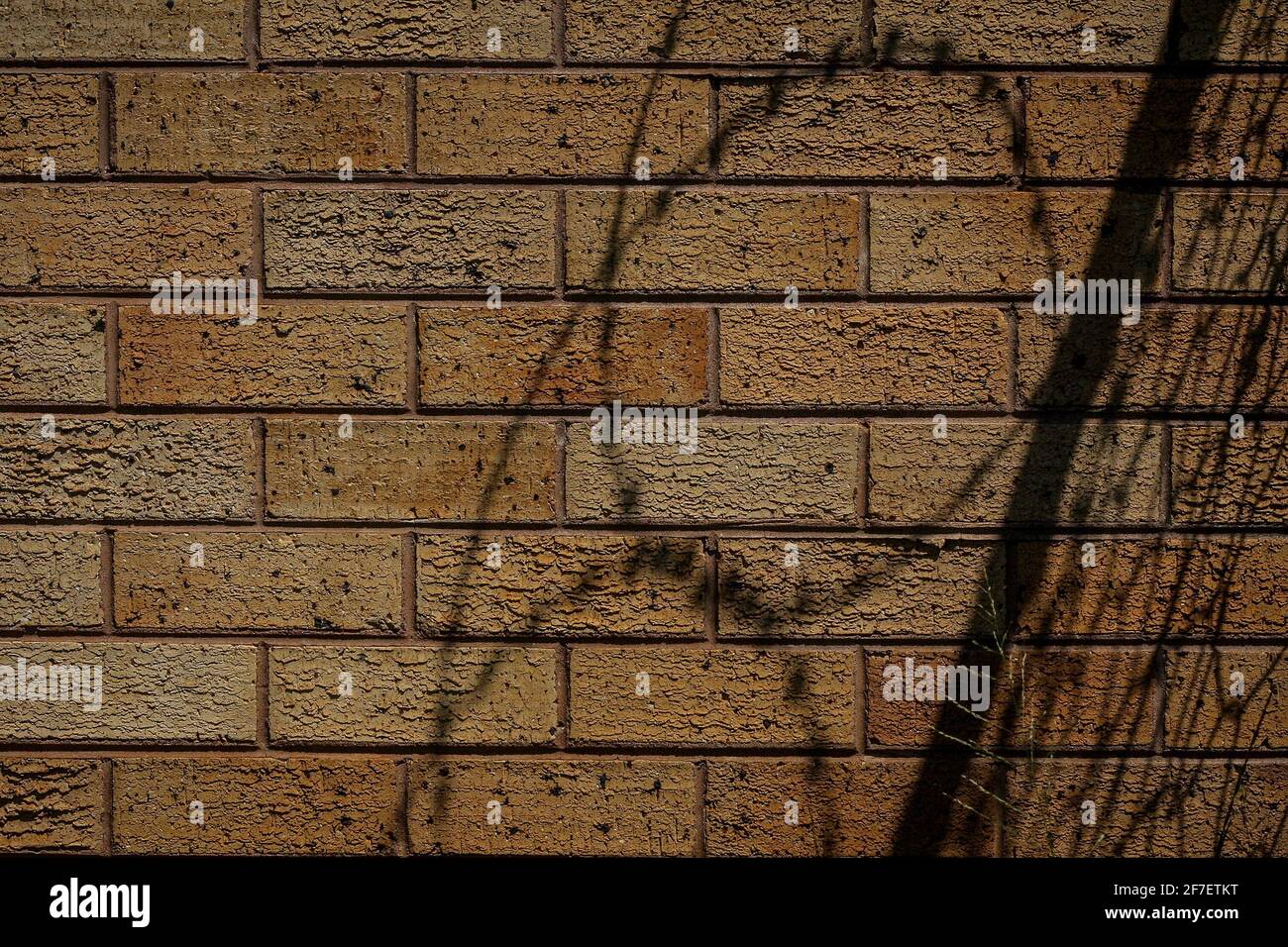 Barbed wire on brick wall hi-res stock photography and images - Alamy
