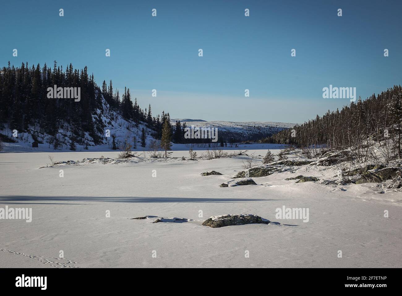 Cold winter setting in Scandinavia or Norway. Visible frozen lake and