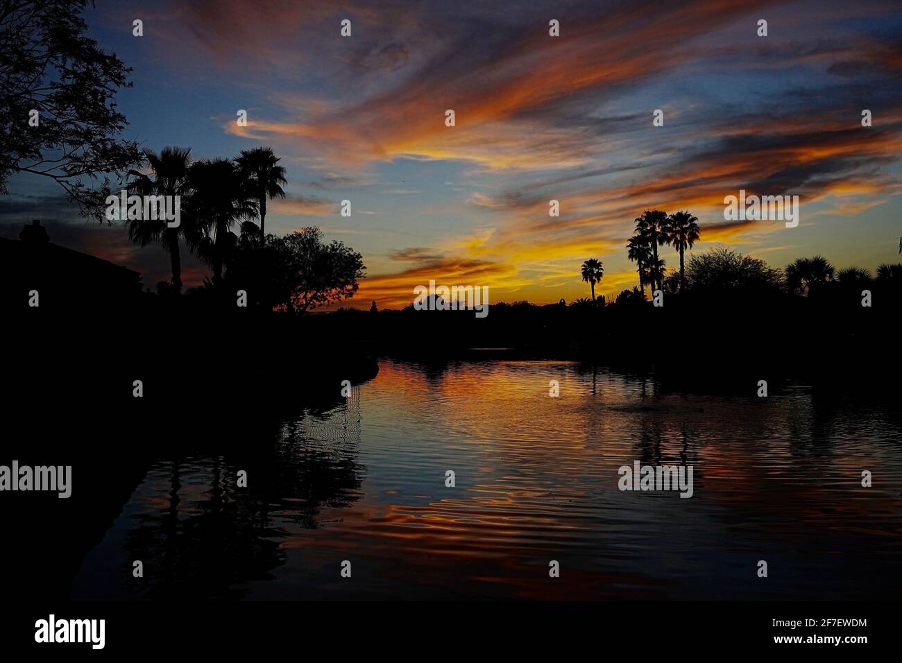 A silhouette of palm trees reflecting on water at sunset. Stock Photo