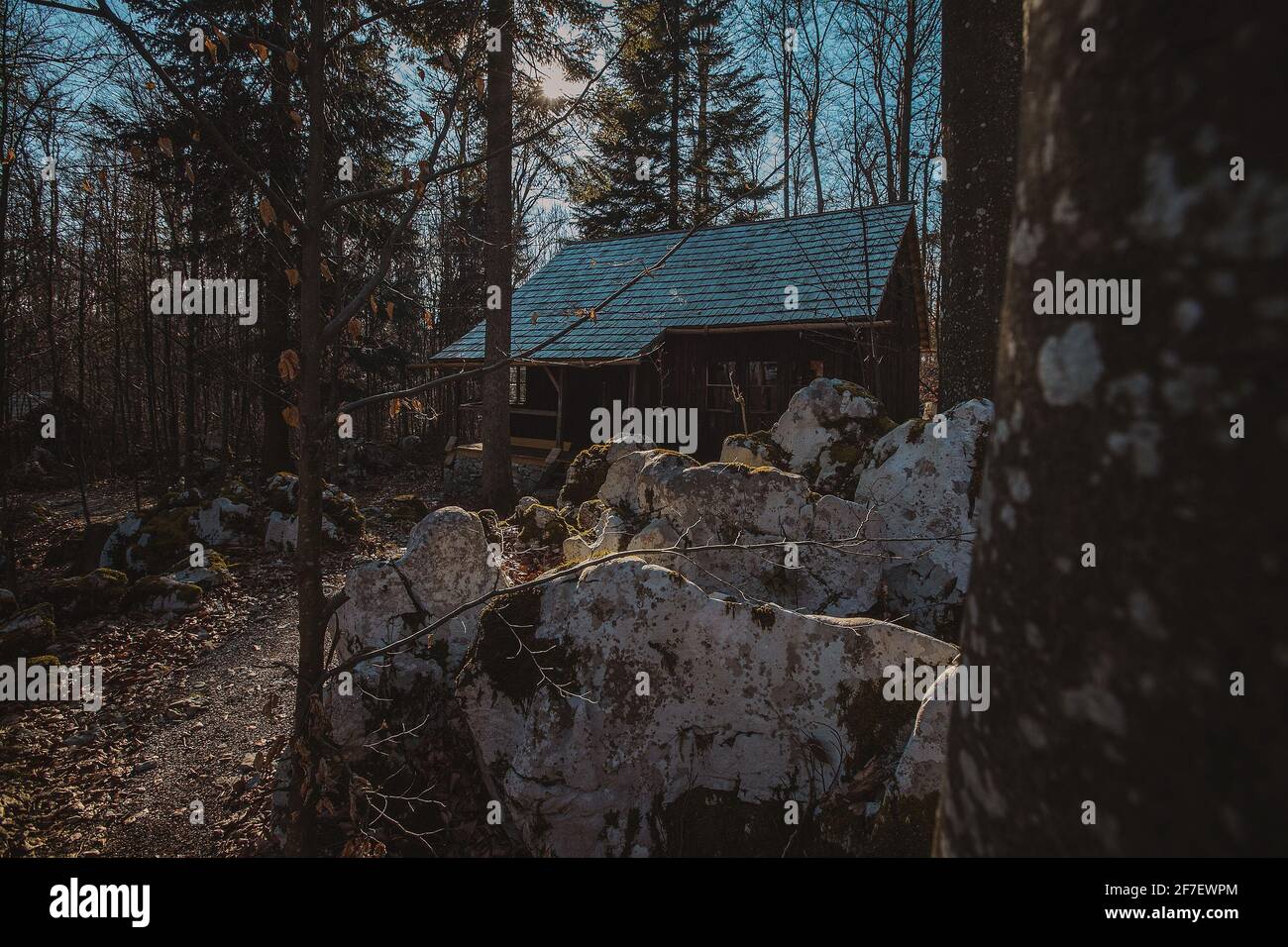 Old army barracks or cottages hiding in the depths of forest at Kocevje or Kocevski rog. Partisan hideout in Slovenia called Baza 20 on a sunny winter Stock Photo