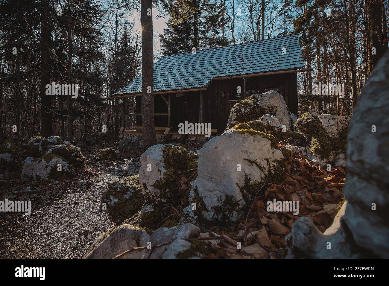 Old army barracks or cottages hiding in the depths of forest at Kocevje or Kocevski rog. Partisan hideout in Slovenia called Baza 20 on a sunny winter Stock Photo
