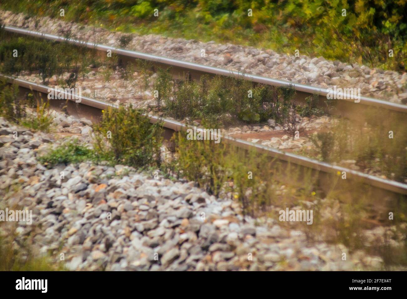 Poor condition of mainline train tracks. Heavy gauge normal train tracks with wooden sleepers but with grass growing up betwee gravel due to poor main Stock Photo