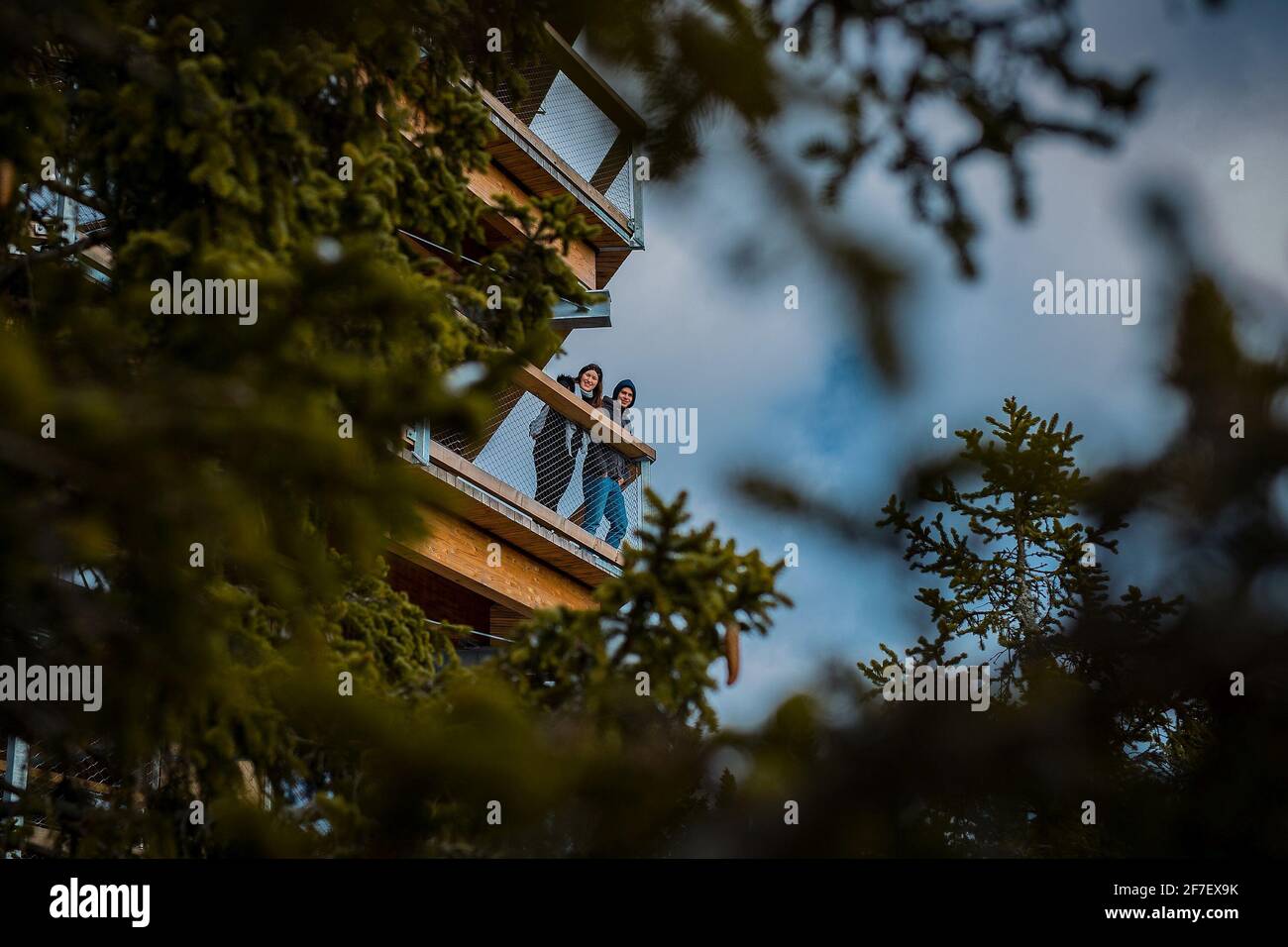 Couple standing on a tree canopy walk or treetop walkway on Rogla and looking towards camera. Beautiful walk in the outdoors, lovely young couple on a Stock Photo