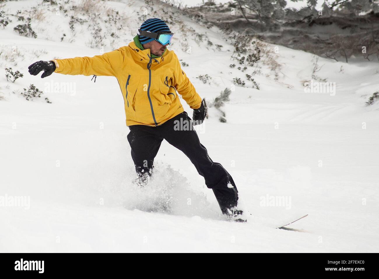 A snowboarder in snow going downhill amd jumping. Boarder with yellow clothing with black trousers and orange board riding and jumping over snow on a Stock Photo