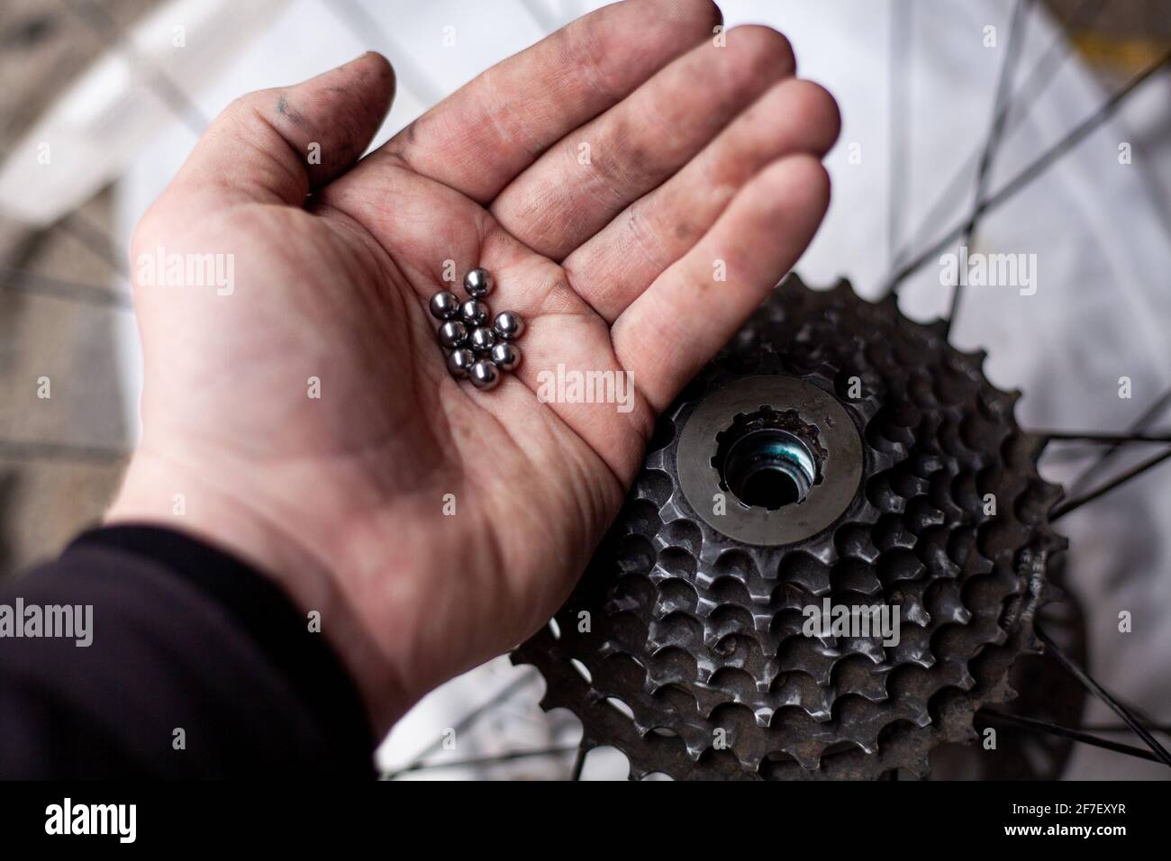 Bearing balls in hand. Rear bicycle cog cassette bearing maintenance required close-up. Ready for repair, clean and lubricating after winter storage. Stock Photo